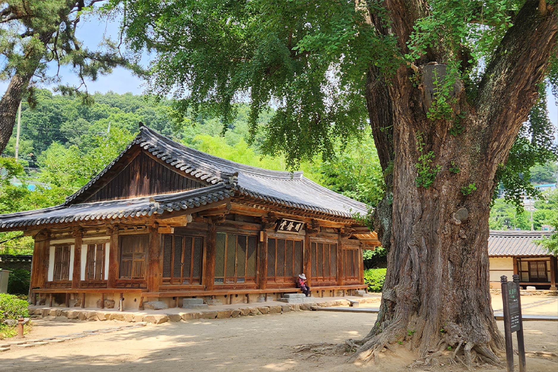 全州主廚試吃活動_首爾_清州五日旅遊推薦