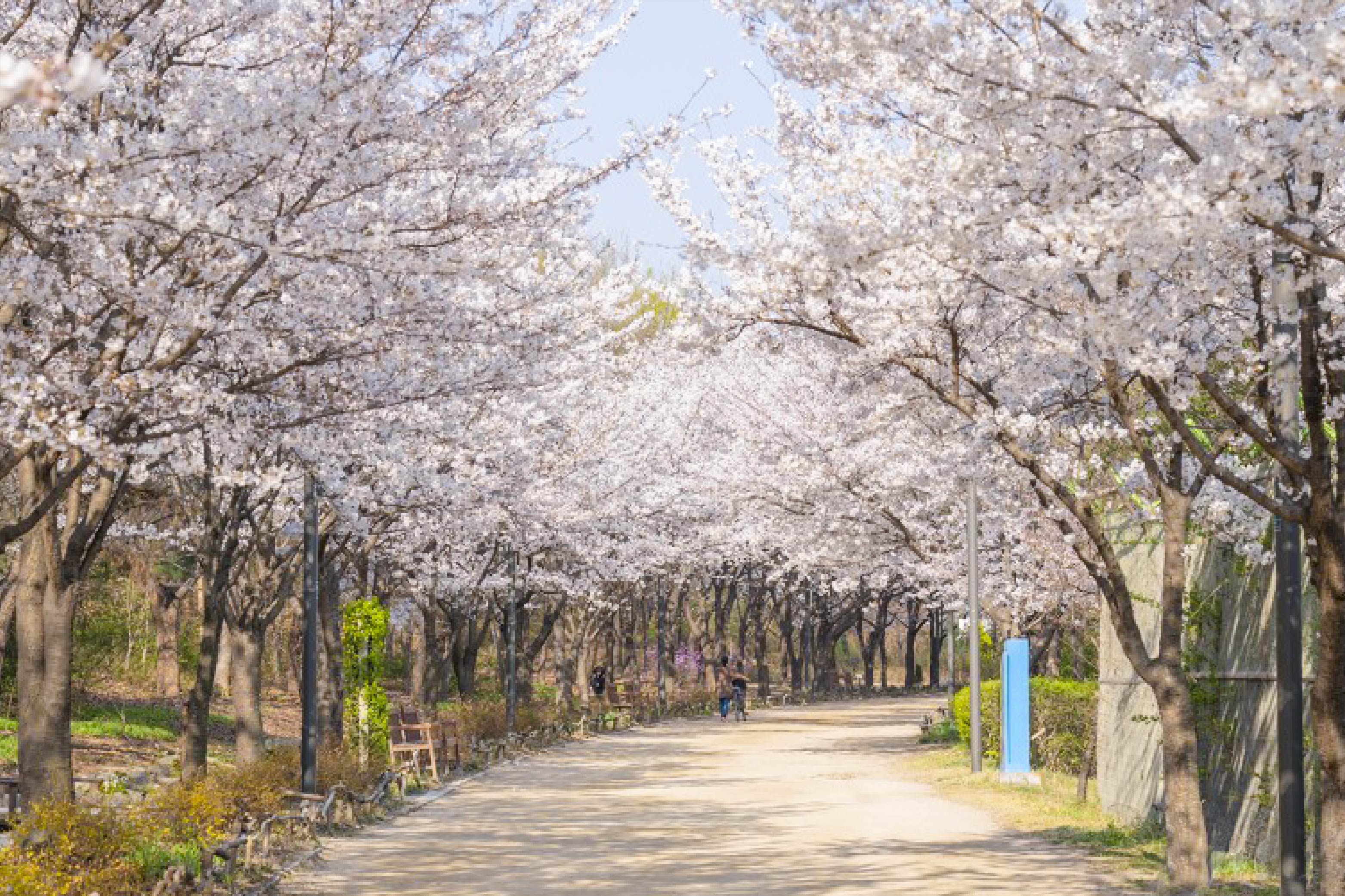 首爾林公園