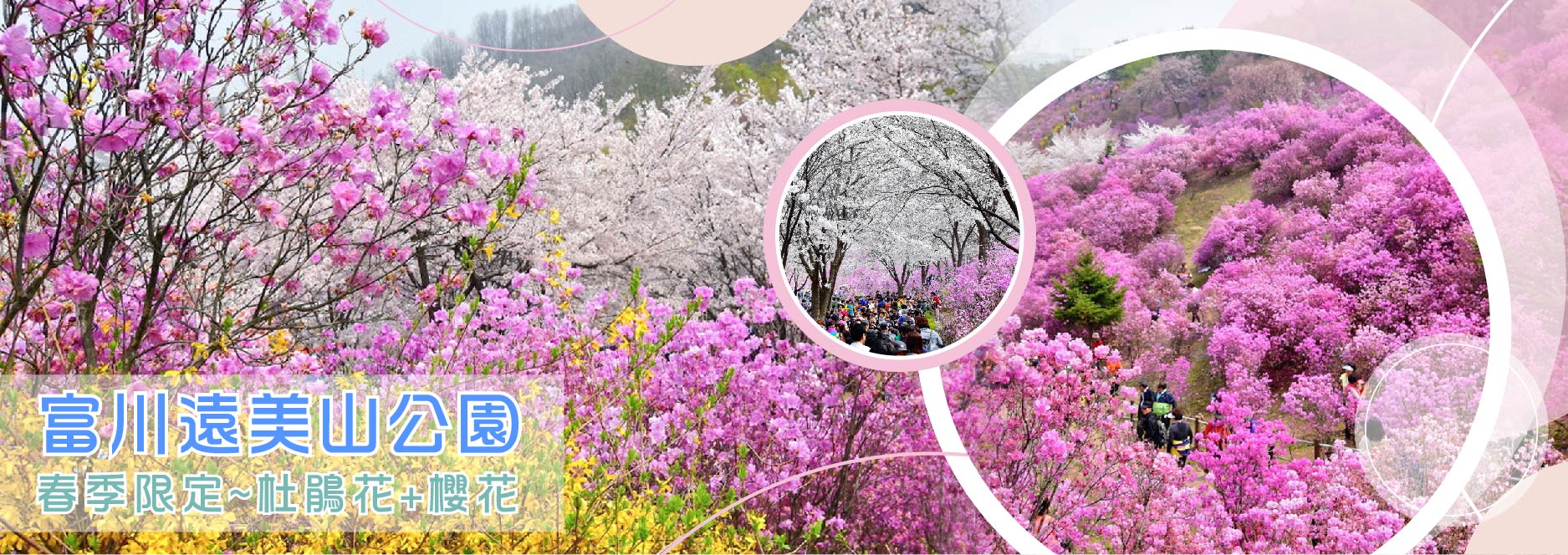 【SEO 圖片說明】