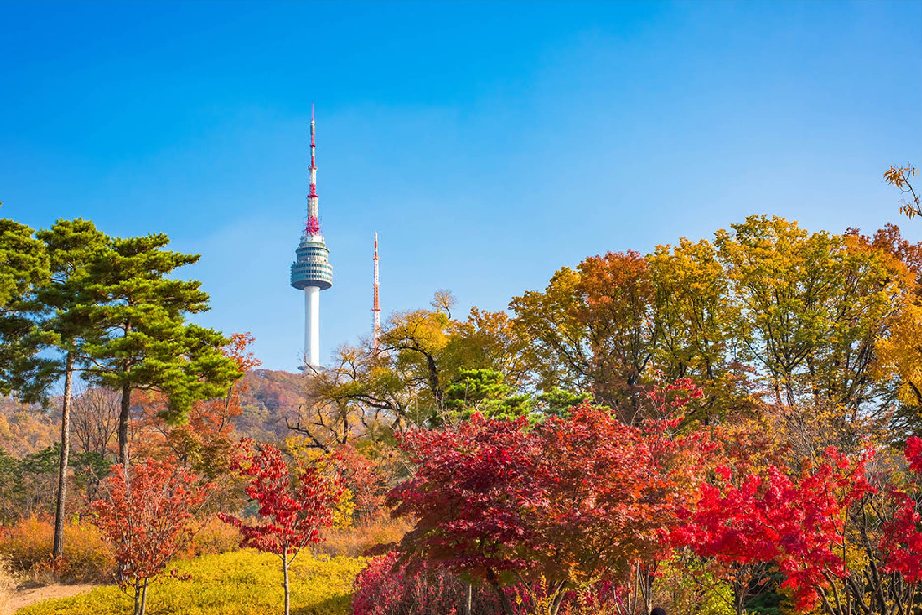 潮遊韓國五日 行程圖