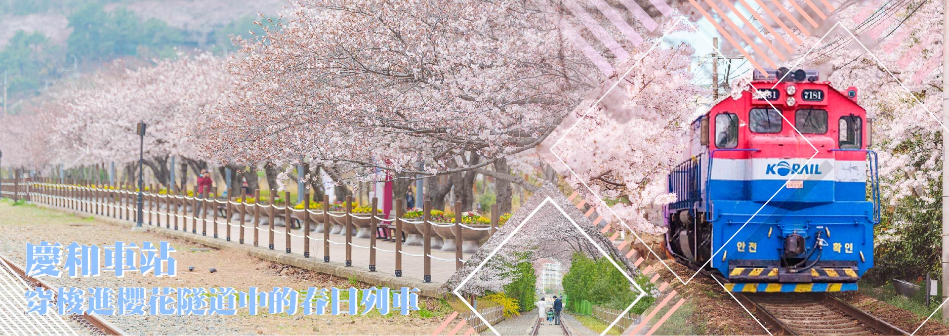 【SEO 圖片說明】