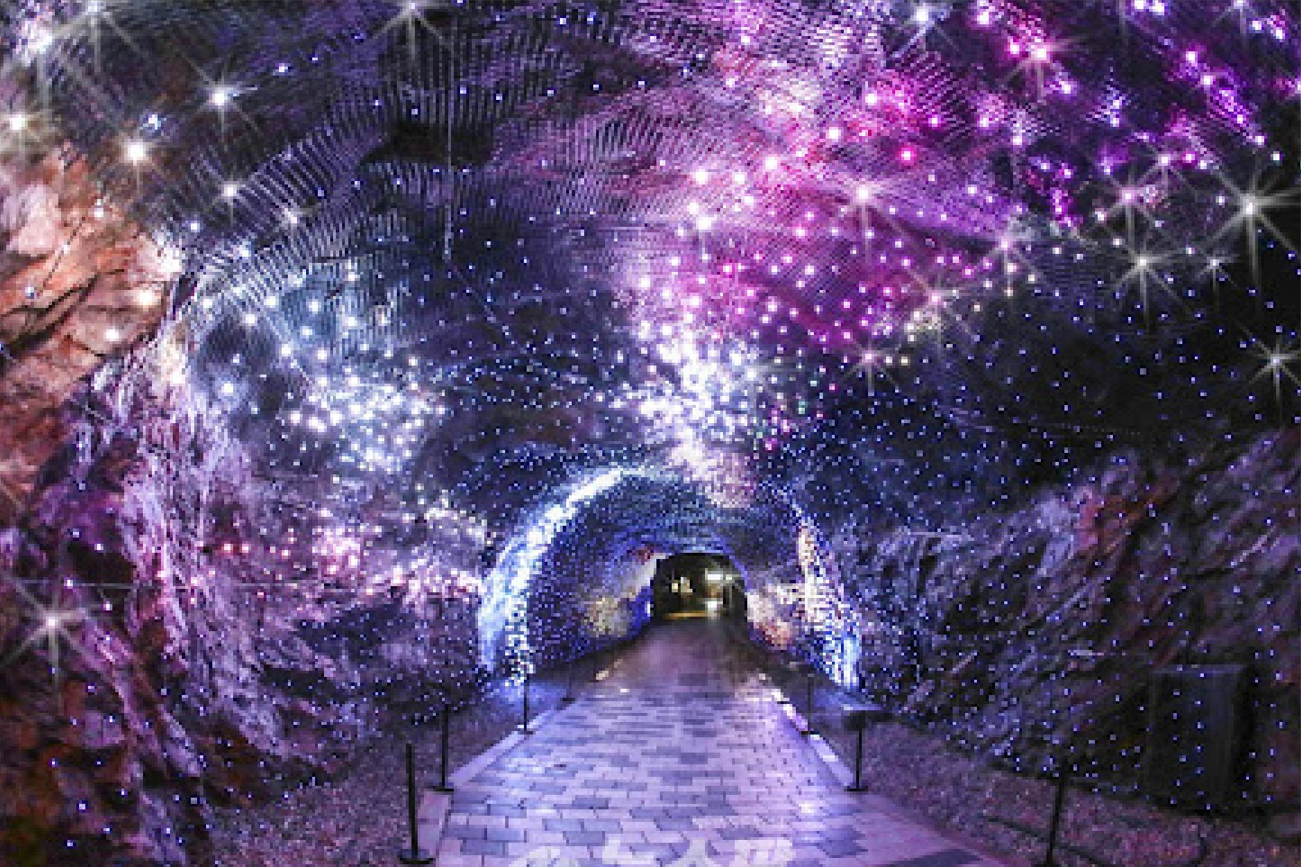 濟州深度行程 行程圖