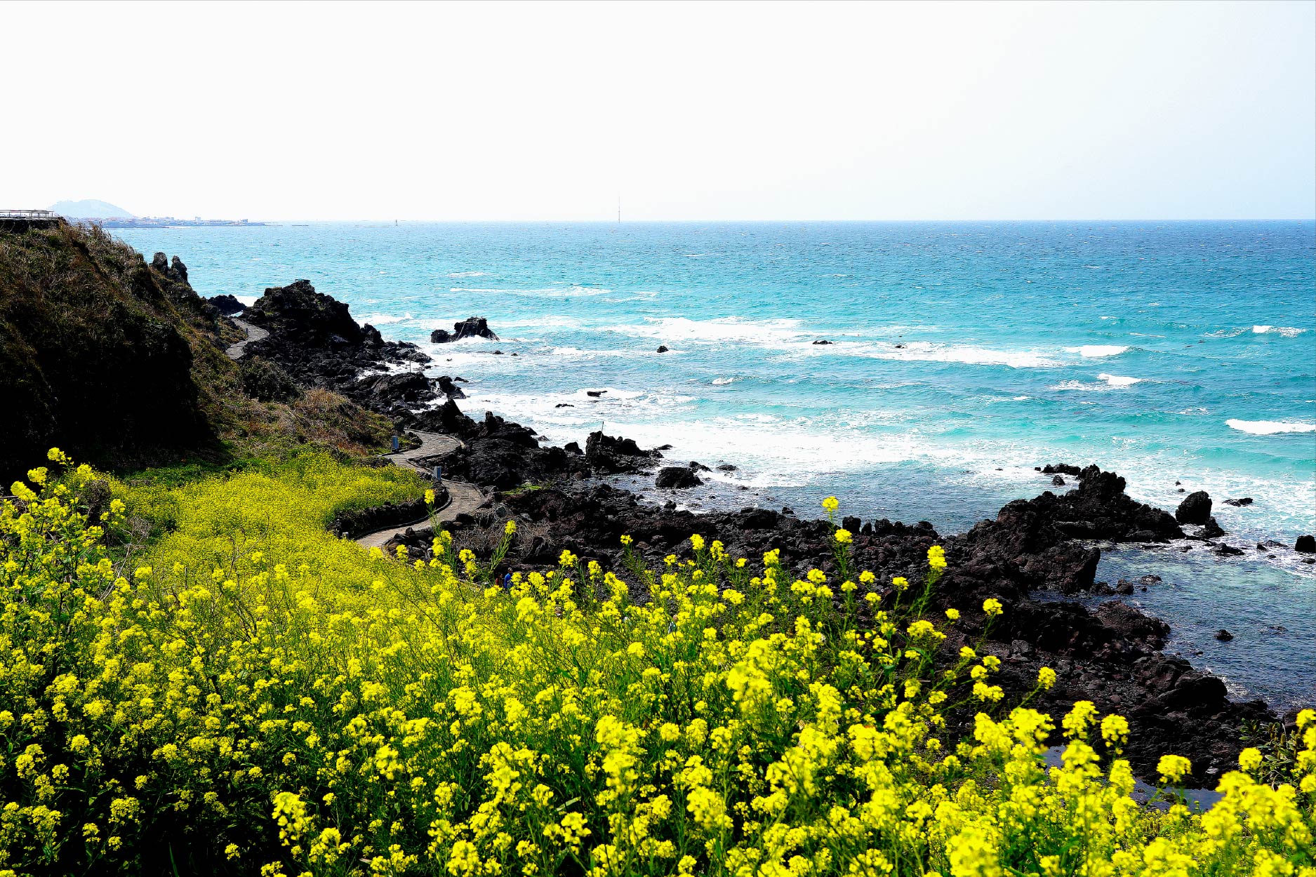 暢遊濟州彩色海岸五日 行程圖