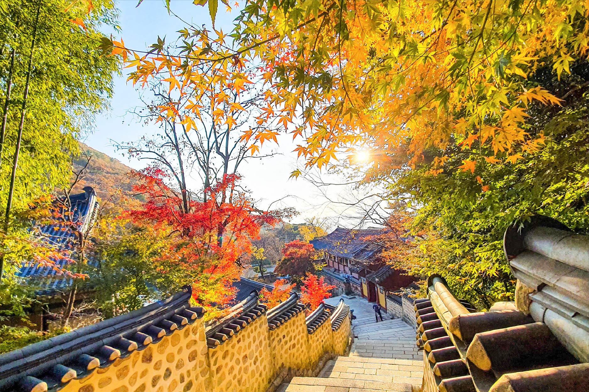 楓遊釜山四日 行程圖