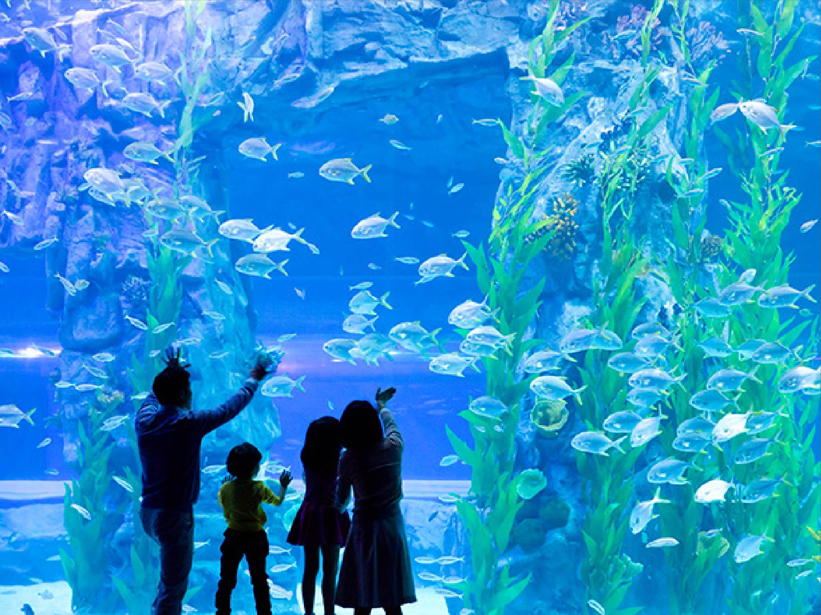 樂天世界水族館