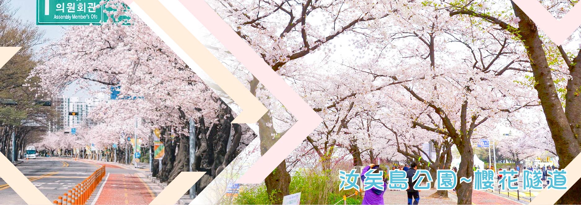 【SEO 圖片說明】