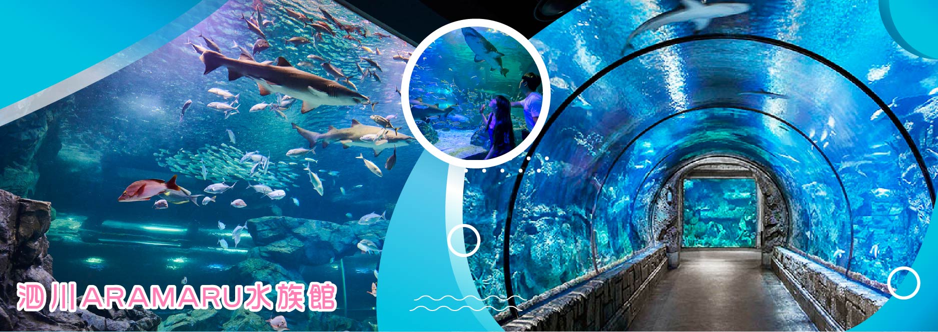 【SEO圖片說明】