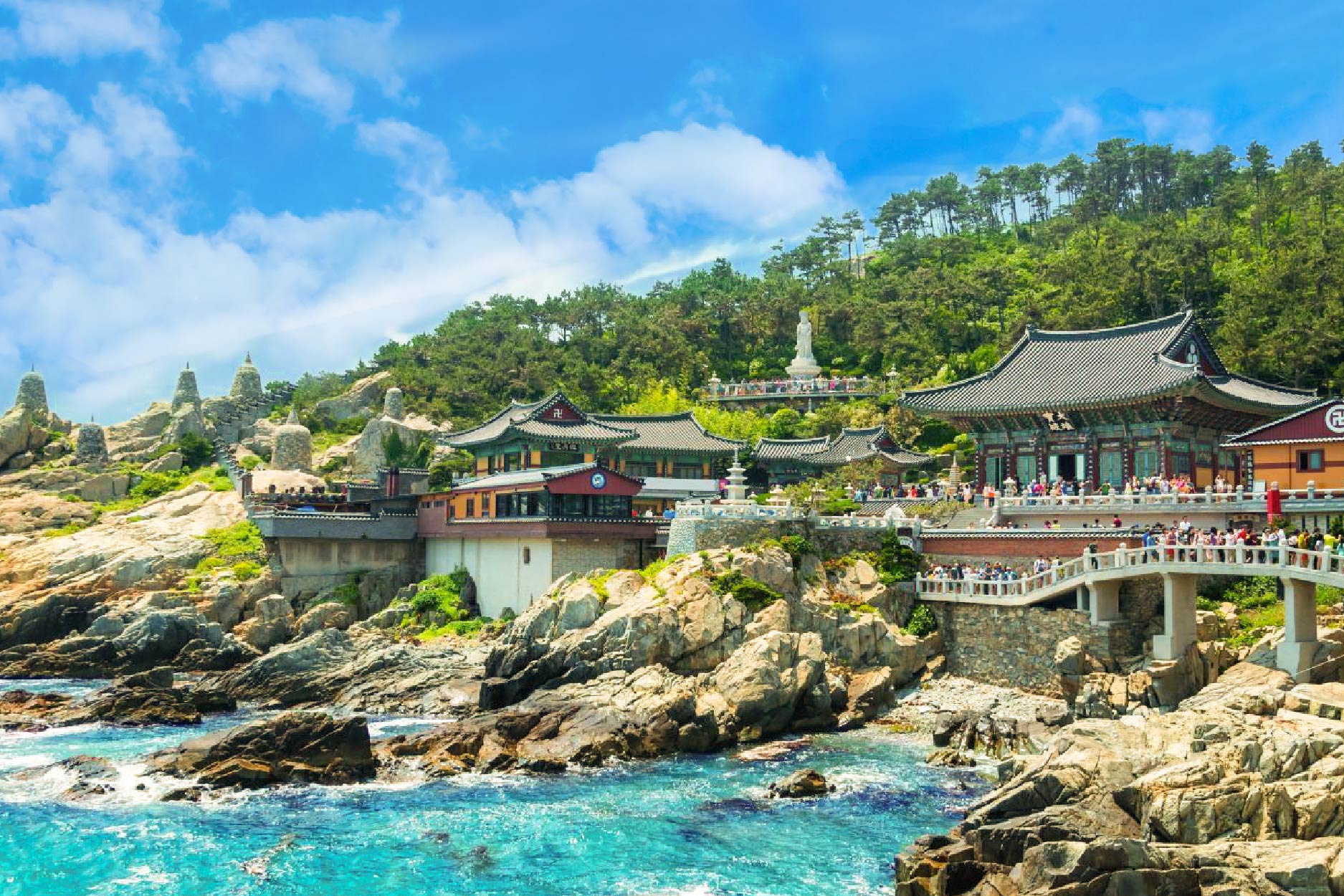 濟州深度行程 行程圖