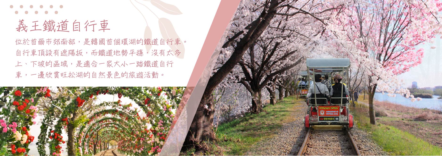 【SEO 圖片說明】