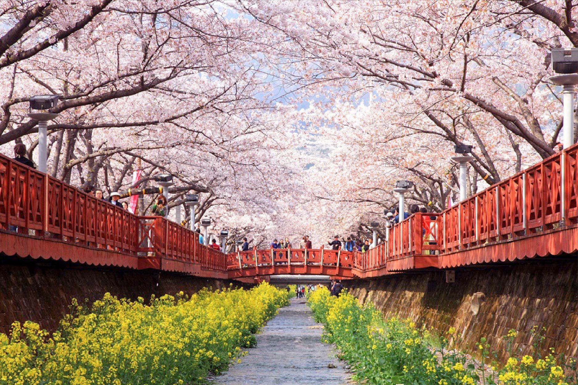 濟州深度行程 行程圖