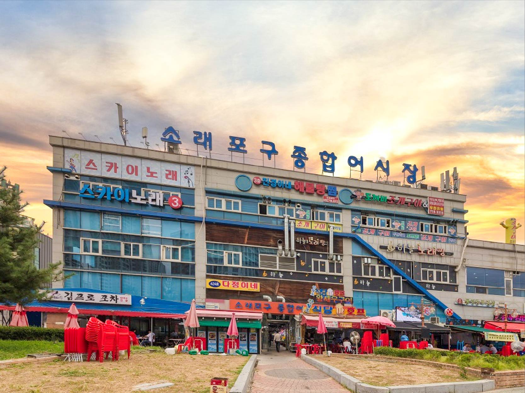 蘇來浦口綜合魚市場