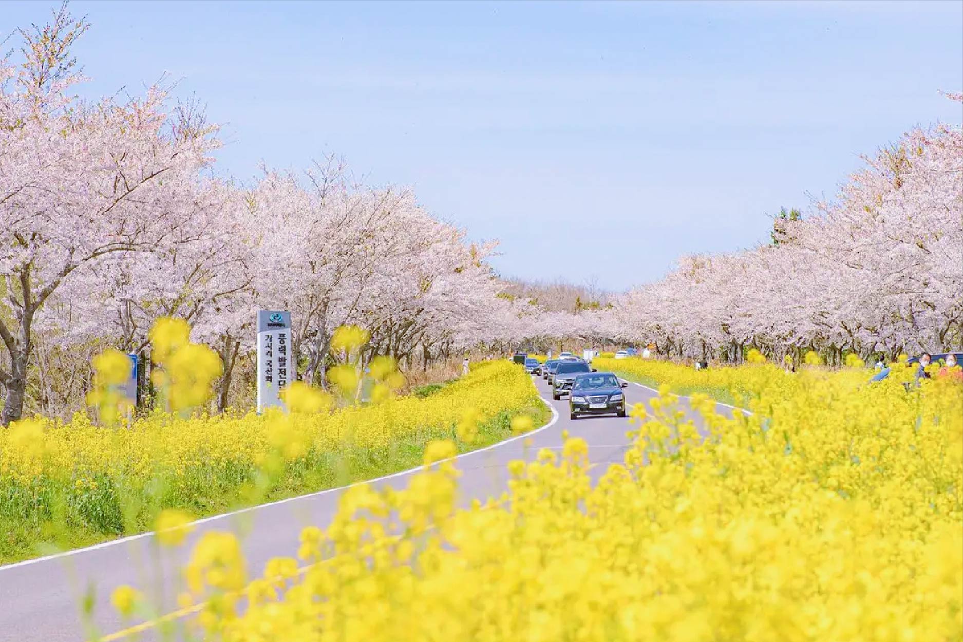 濟州深度行程 行程圖