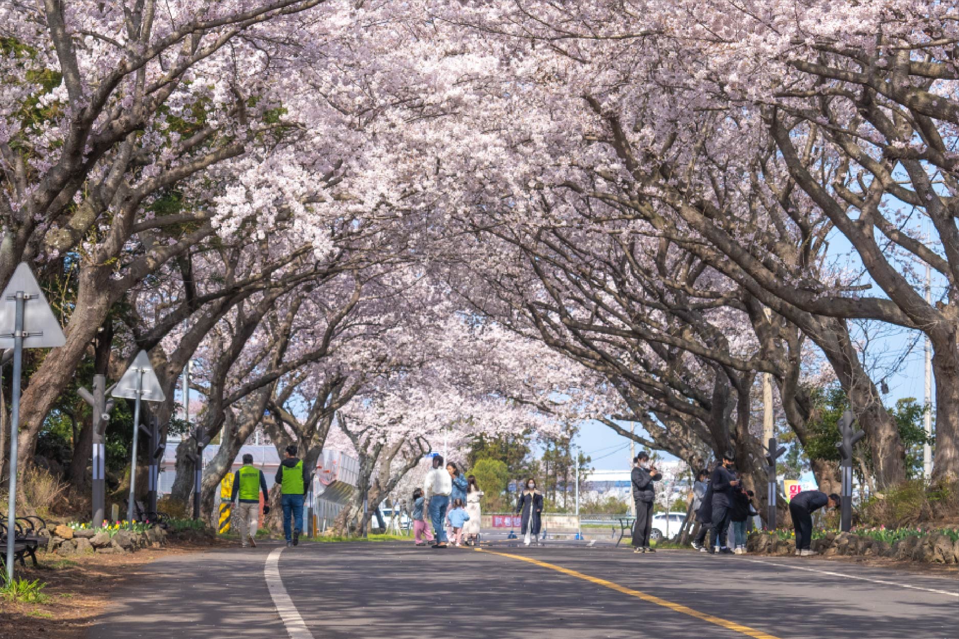 濟州深度行程 行程圖
