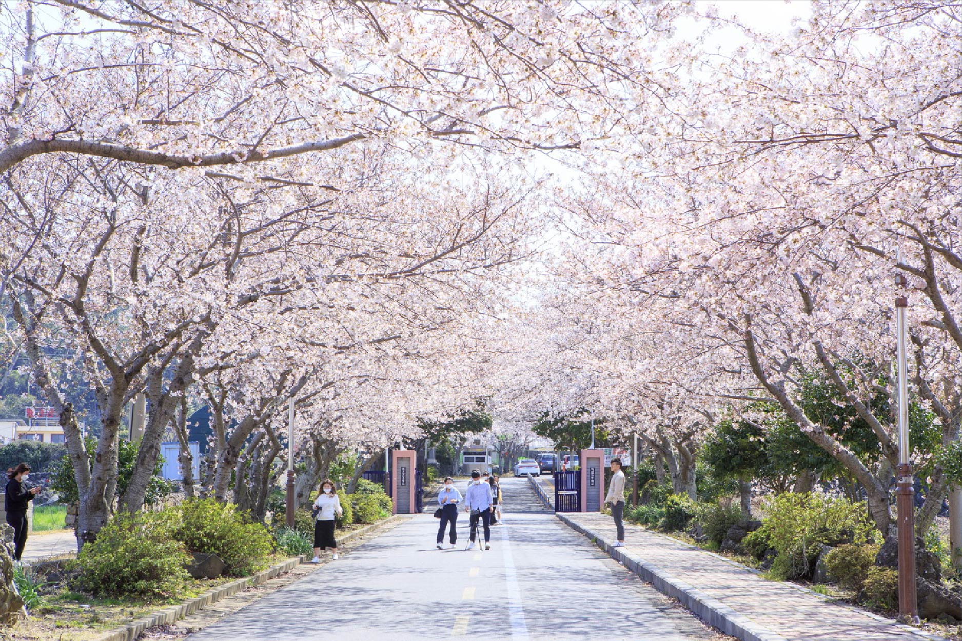 濟州深度行程 行程圖