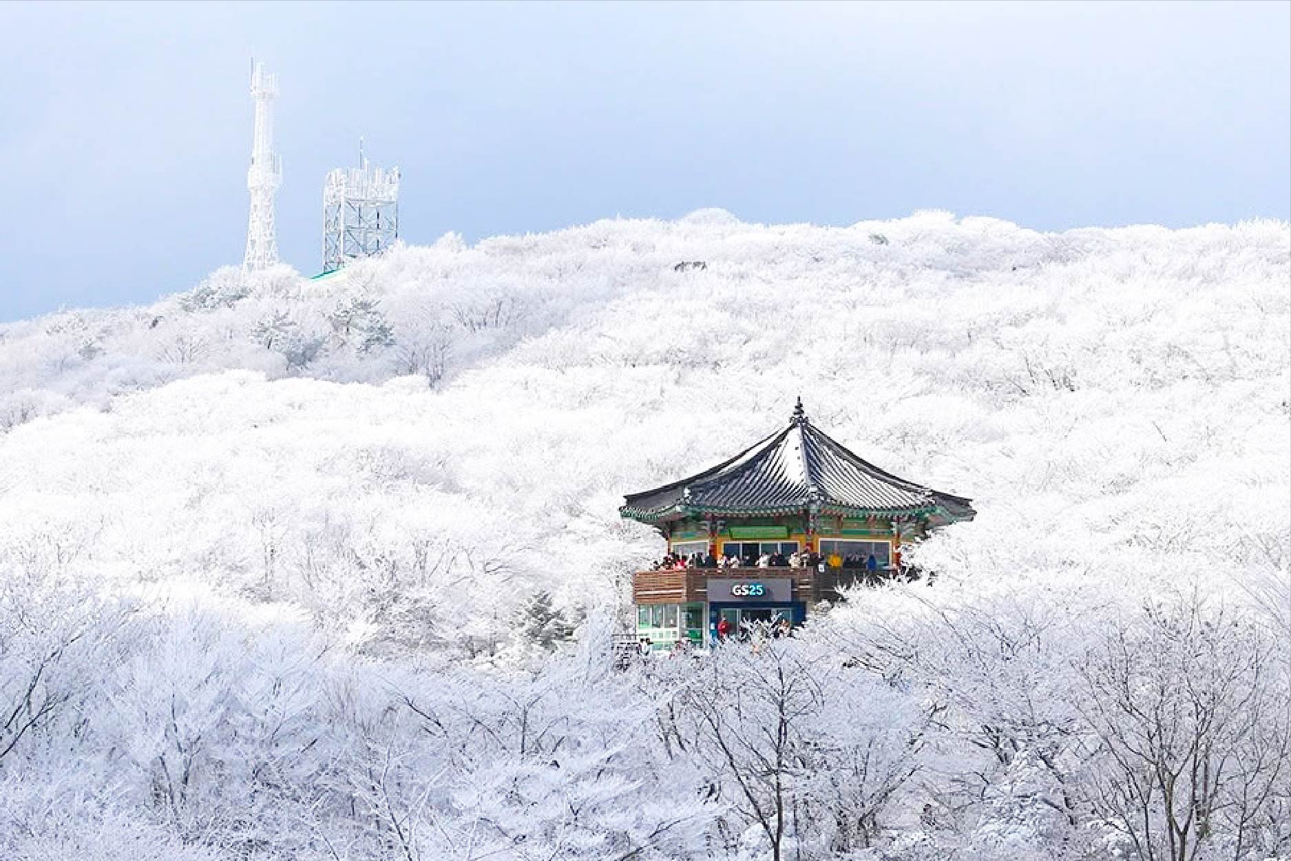 2027春節濟州旅遊輕鬆遊濟五日