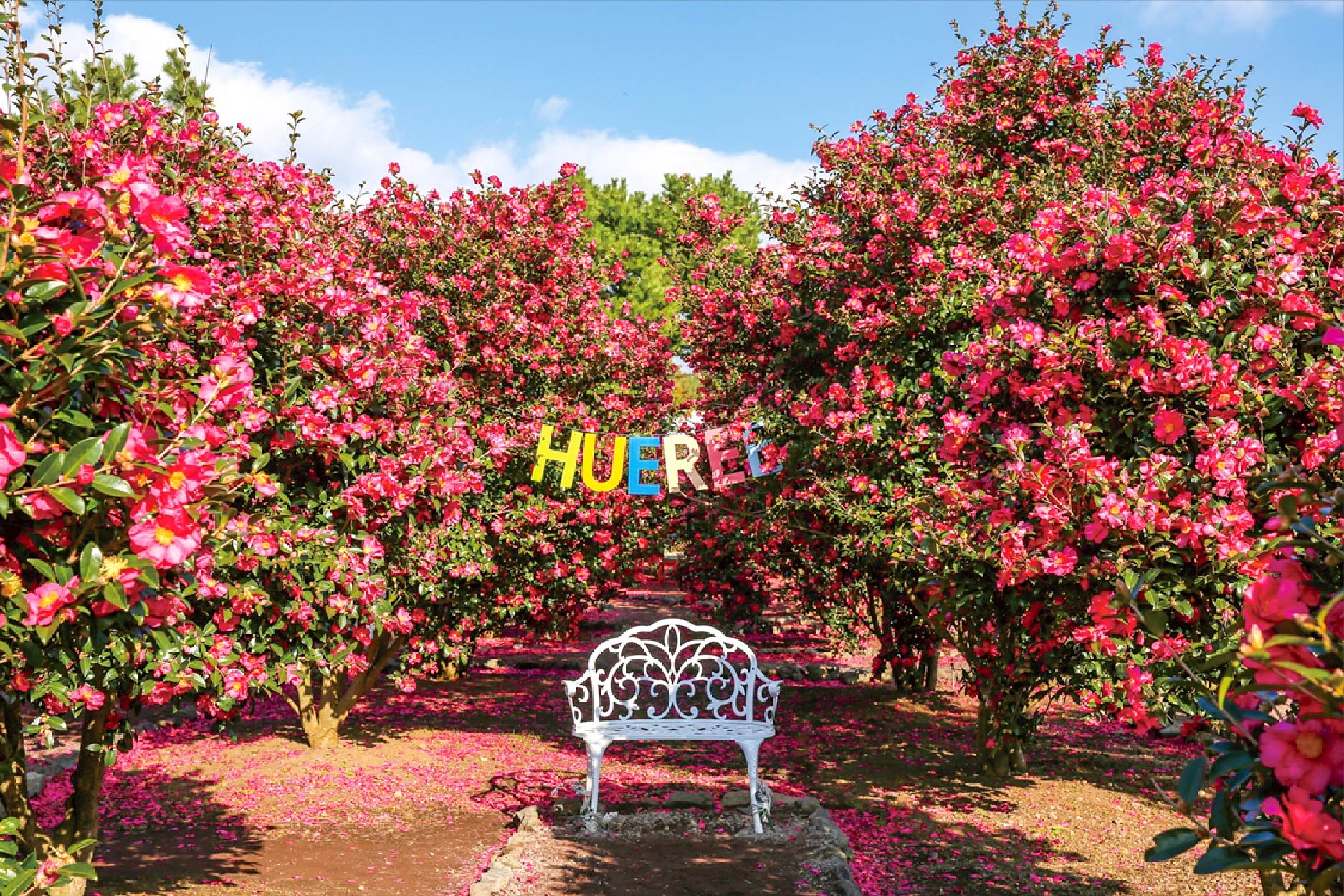 濟州深度行程 行程圖