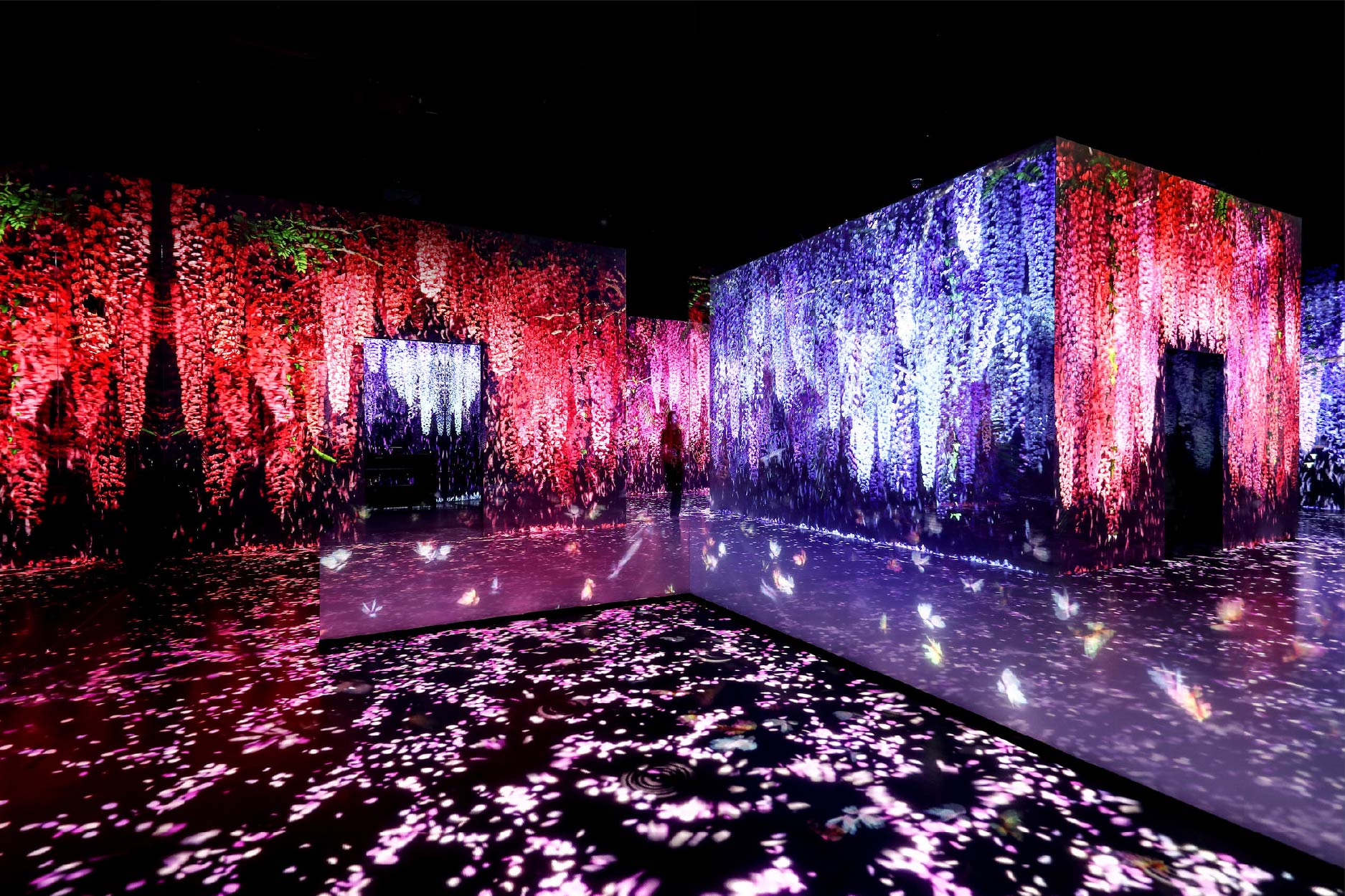 濟州深度行程 行程圖