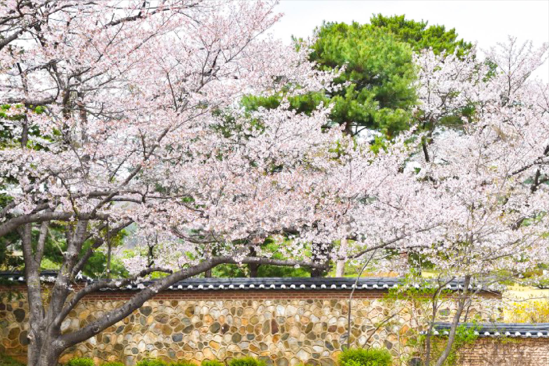 歡趣首爾五日 行程圖