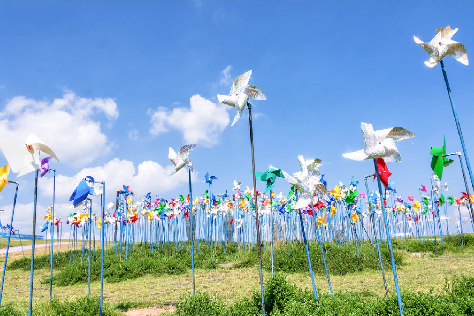 濟州深度行程 行程圖