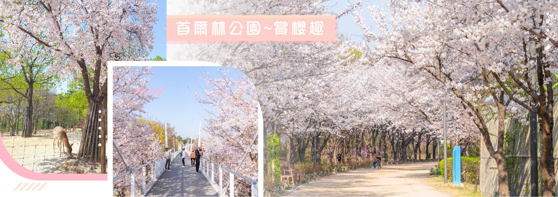 【SEO 圖片說明】