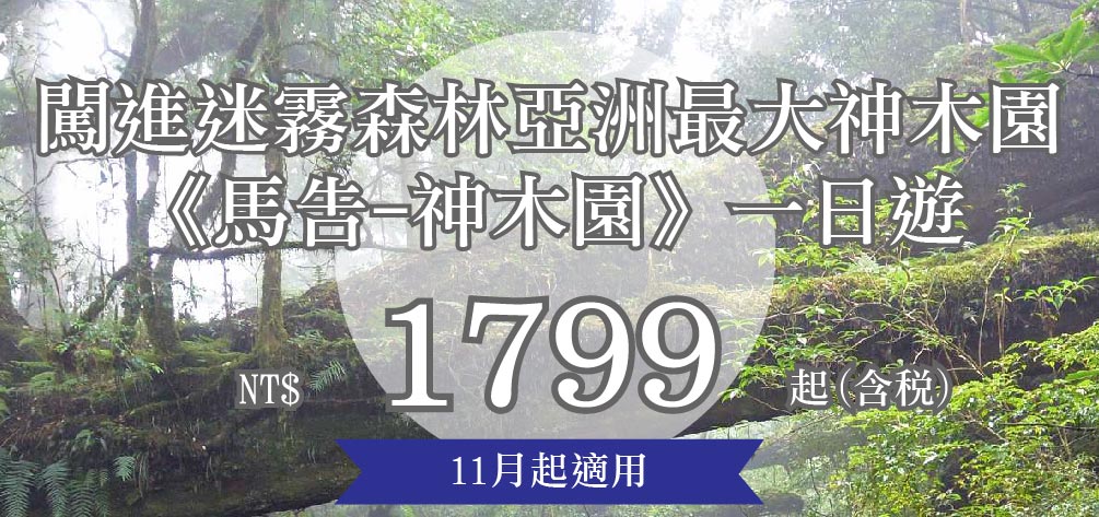 闖進迷霧森林亞洲最大神木園《馬告-神木園》一日遊